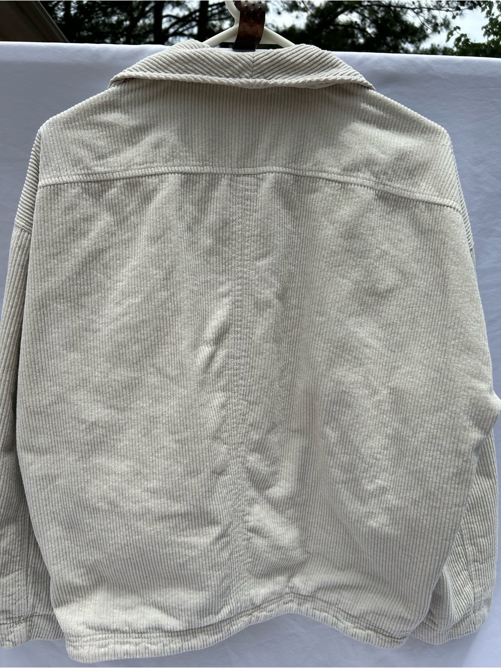 Zara Cream Cropped Corduroy Blazer - Picture 9 of 13